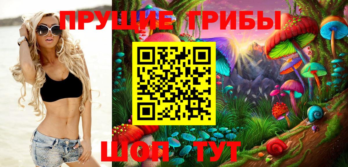 Тихвин  Галлюциногенные грибы Cubensis  Вход с VPN  Псилоцибиновые грибы Cubensis 
