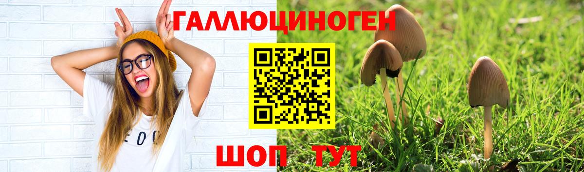 Галлюциногенные грибы мицелий Тихвин